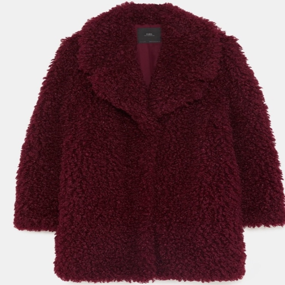 🎉HOST PICK🎉ZARA Soft Fur Coat - Picture 6 of 9